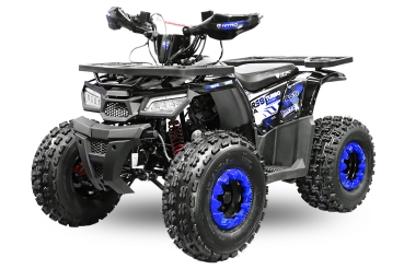 NITRO MOTORS 125cc midi Kinder Quad Rocco RS8-A Platin
